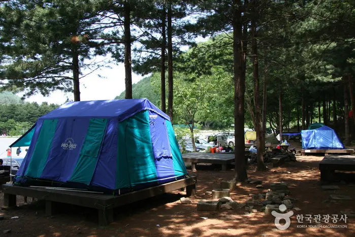 유명산자연휴양림_야영장
