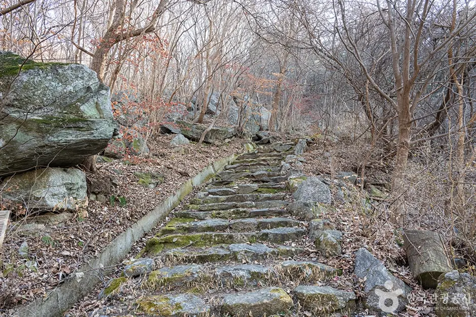 축령산 (3)