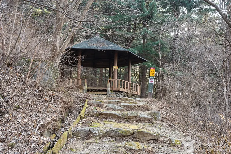 축령산 (4)