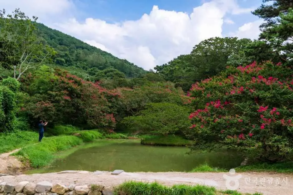 담양 명옥헌 원림 (2)
