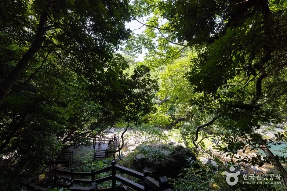 제주_천제연폭포 (3)