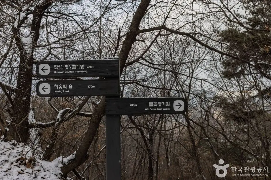 서울노원_초안산 (2)