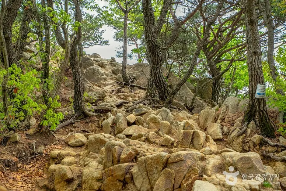 서울_관악산 (5)