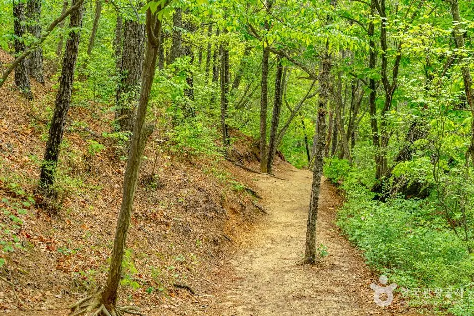 서울_관악산 (1)