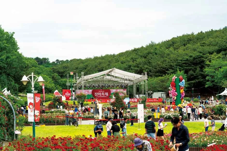 울산대공원 장미축제 2026년 5월 개최, 기간·장소·주요 프로그램 정보