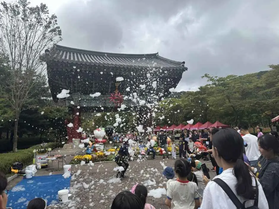 영광불갑산상사화축제 현장