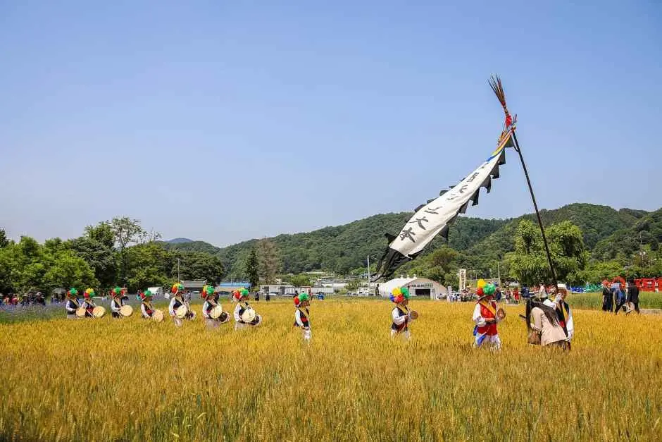 양평밀축제 현장