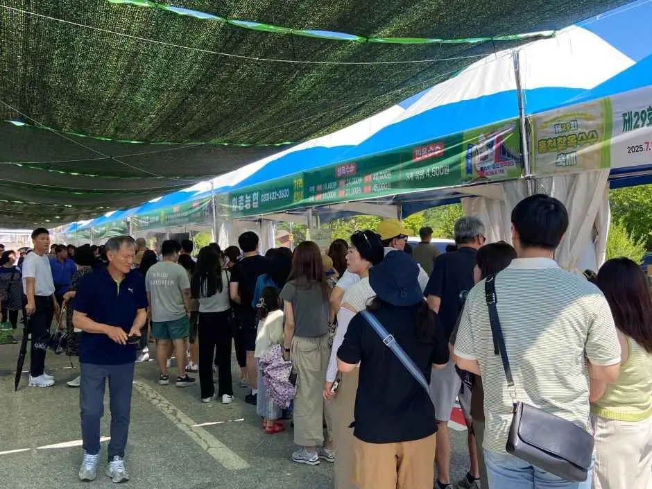 홍천 찰옥수수 축제 현장