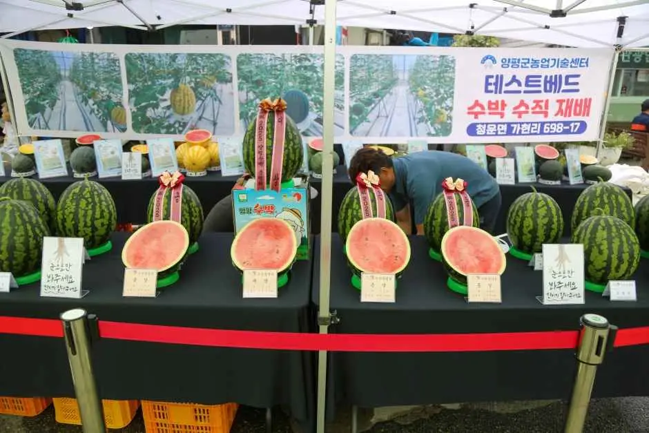 양평수박축제 현장