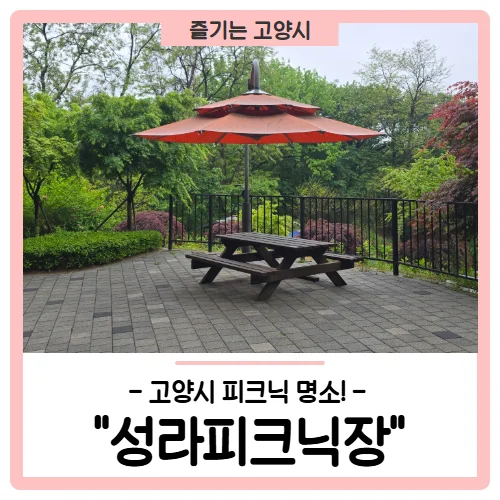 숲캉스 따로 있나요?"... 고양시 성라피크닉장, 2만 평 규모 숲속 피크닉 명소