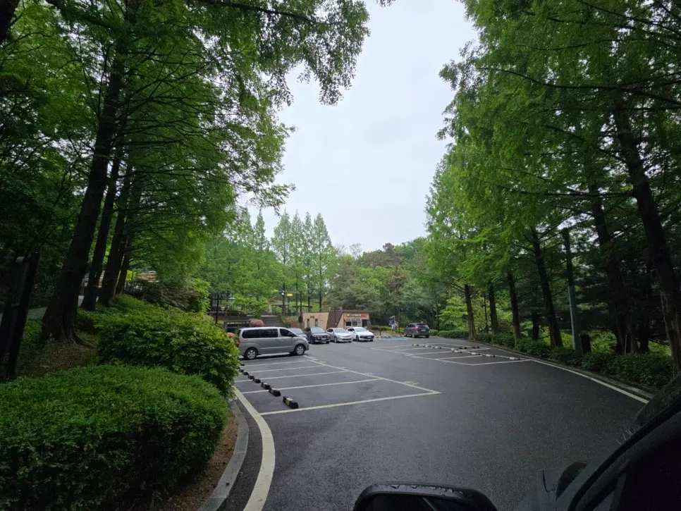 고양시 피크닉