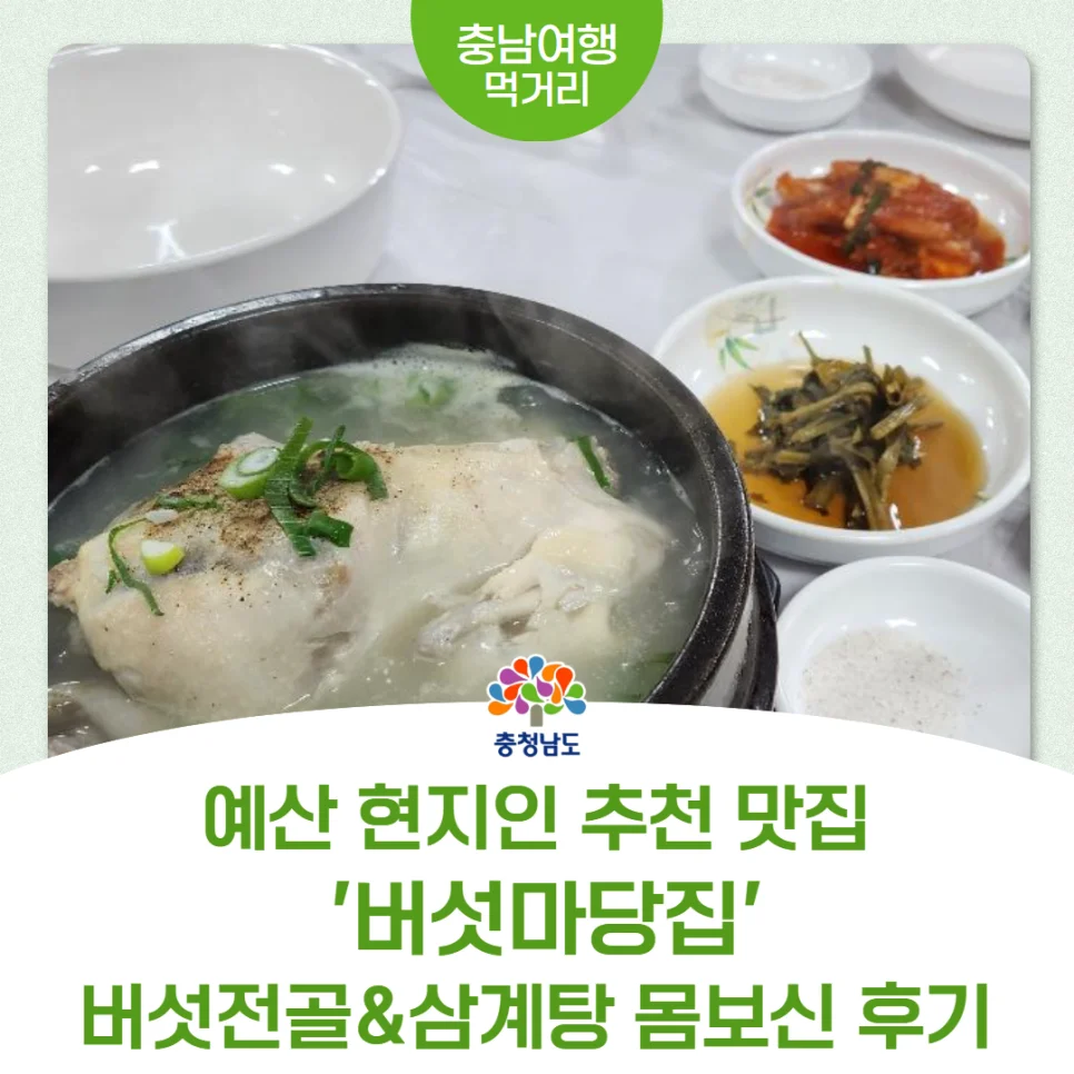한 그릇에 단돈 8천 원인데 삼계탕이 공짜?"... 충남 예산 현지인 추천 버섯전골 맛집