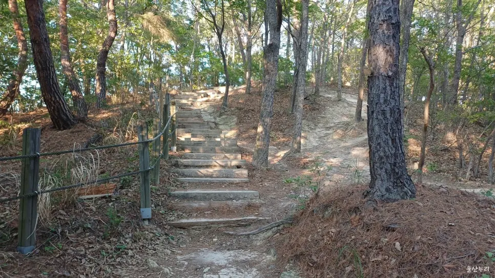 울산대공원 여행