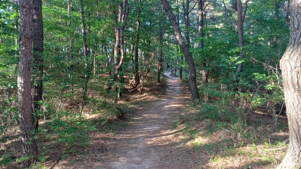 울산대공원 여행