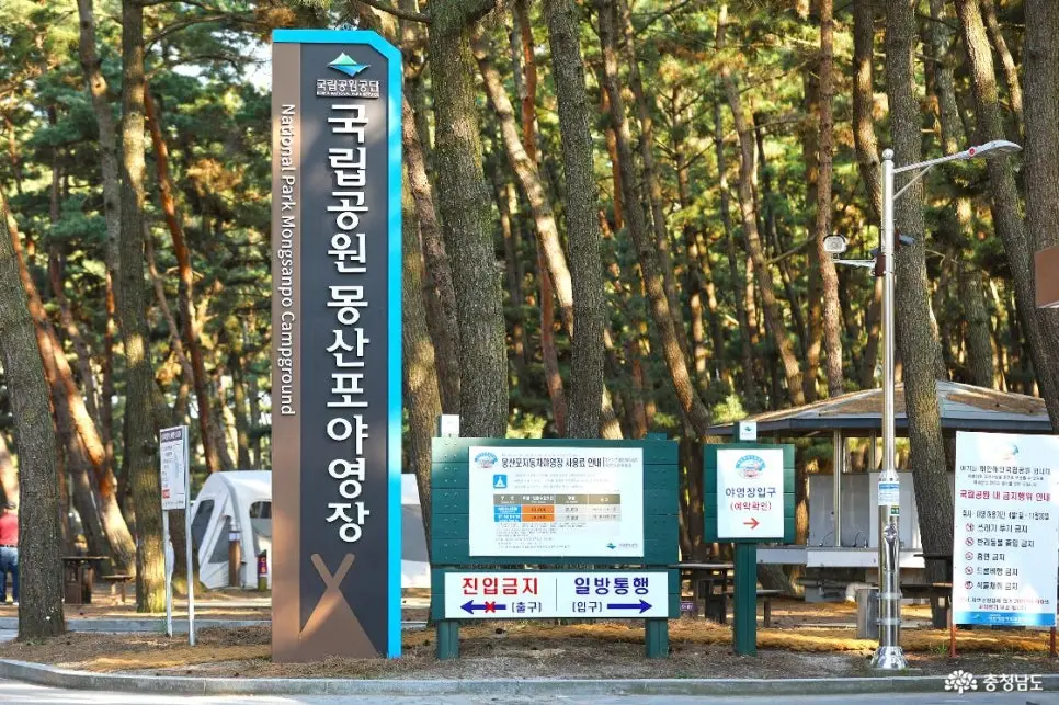 태안 캠핑