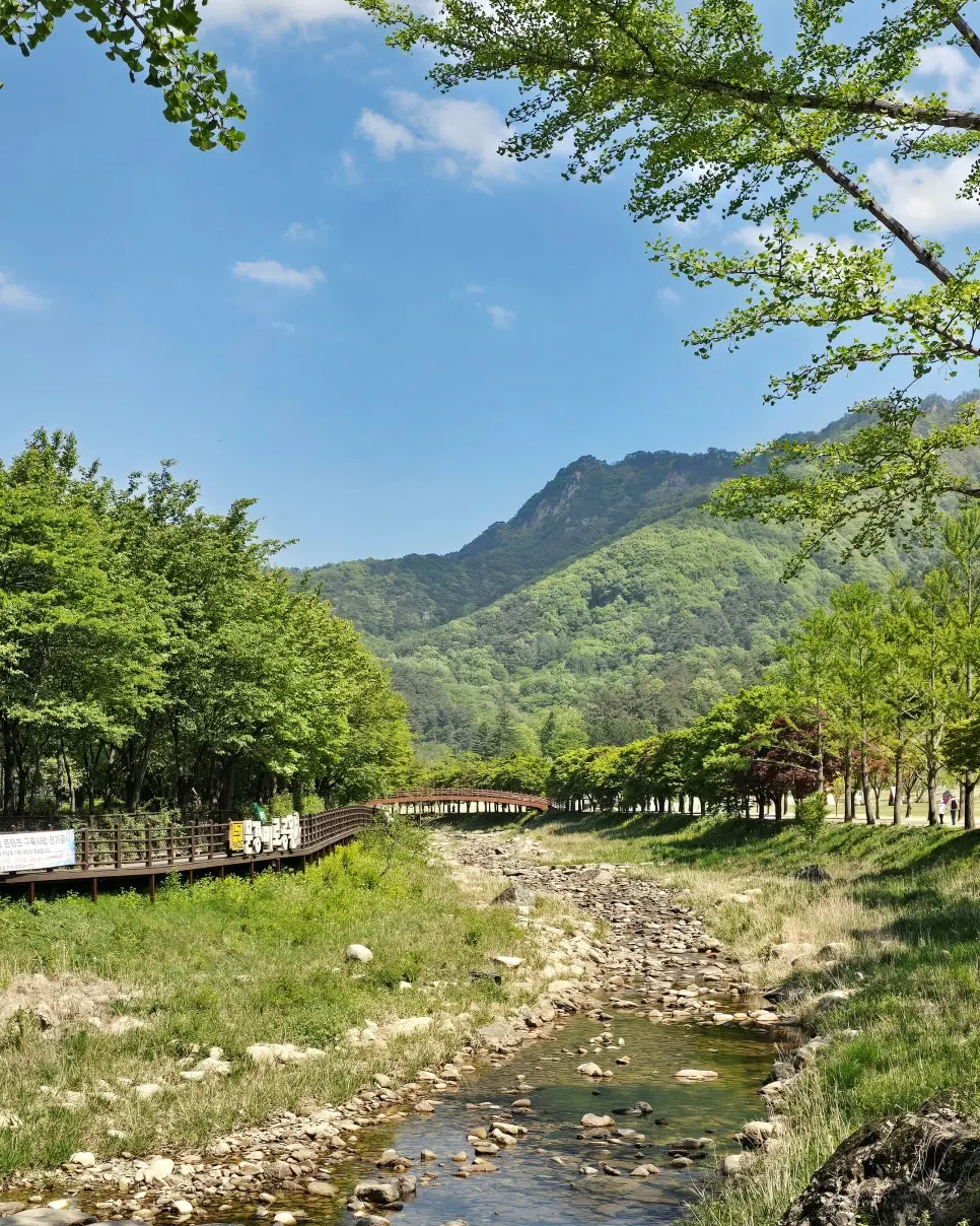 문경새재 여행