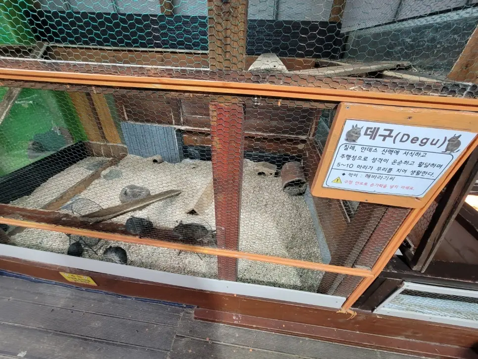 화성 동물농장