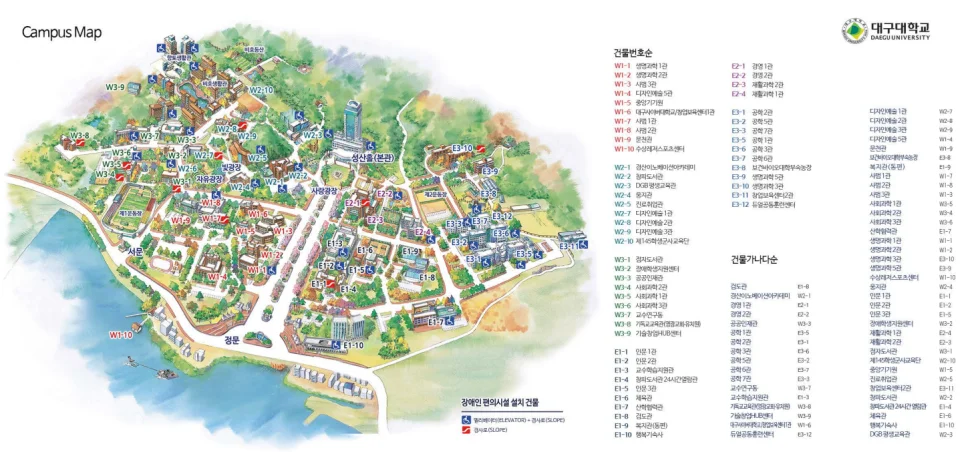 수도권에만 벚꽃 명소가 있다고?"... 경산 대구대 3.7km 캠퍼스길 피크닉