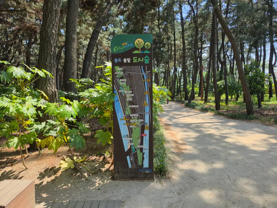 포항 송도 산책