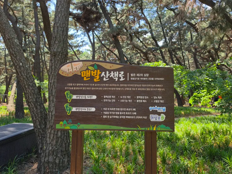 포항 송도 산책