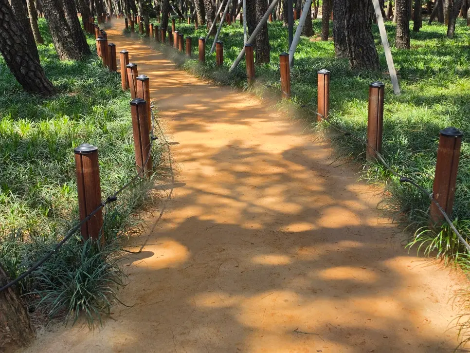 포항 송도 산책
