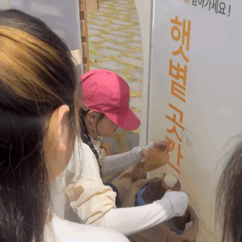 부산 여행