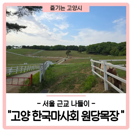 서울 근교에 이런 곳이?"... 100년 역사 고양 원당목장, 걷기 좋은 5km 산책 코스