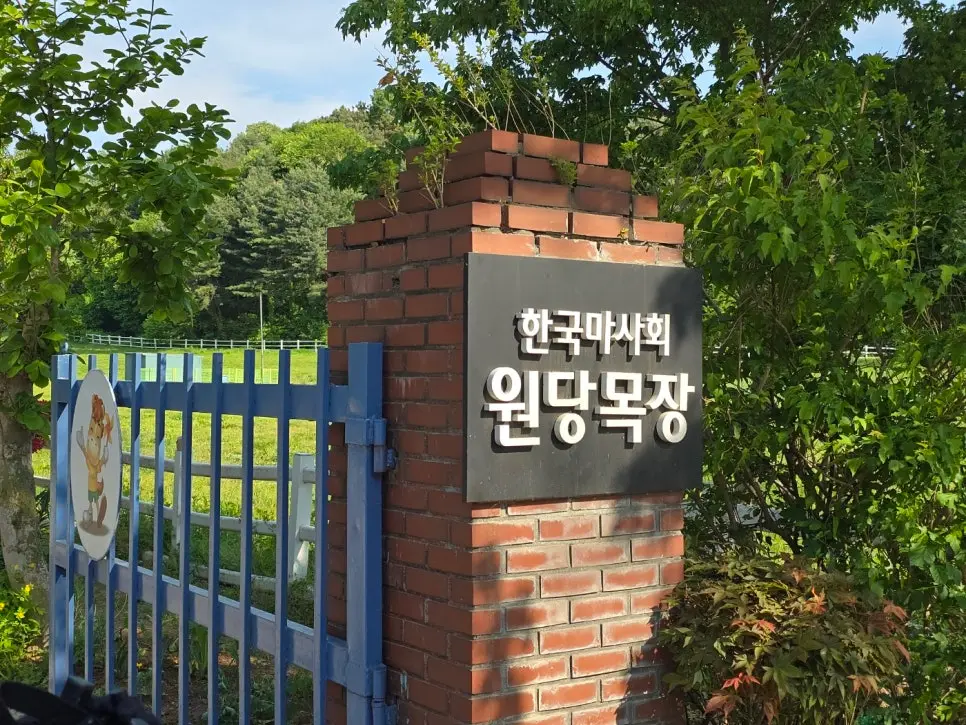 고양 여행