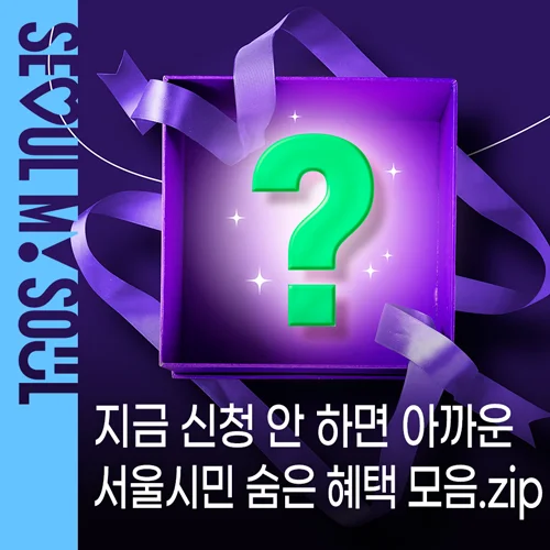 서울 시민이라면 무조건 챙기세요"... 놓치면 후회할 생활비 아끼는 서울 지원금·환급·할인 모음
