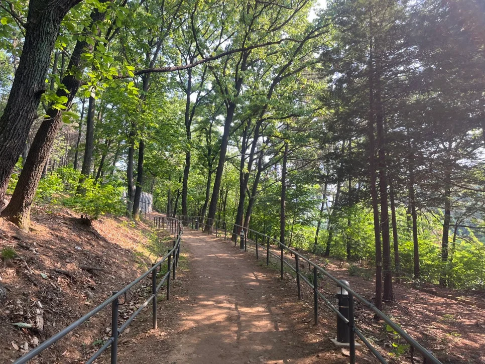 아이와 가기 좋은 공원 찾으세요?"... 안산 선부제2공원, 1만 평 규모의 자연 놀이터