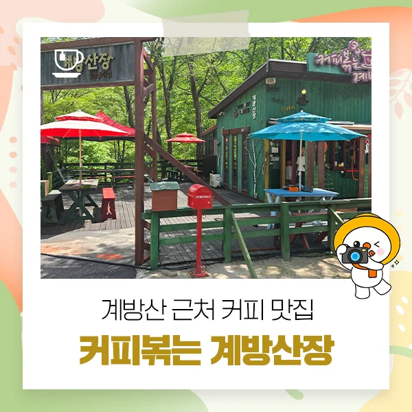 캠핑장 코앞에 이런 곳이?"... 해발 1089m 평창 운두령 커피 맛집