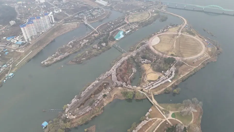 가평 에덴벚꽃길 벚꽃터널