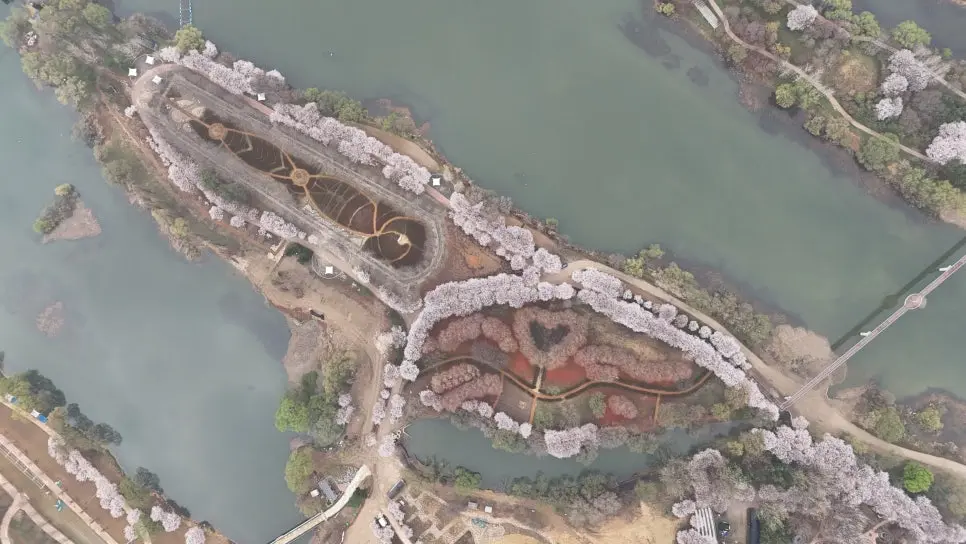 가평 에덴벚꽃길 벚꽃터널