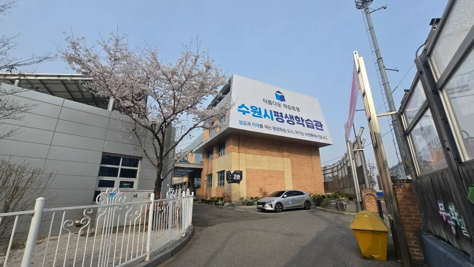 경기 수원화성 벚꽃