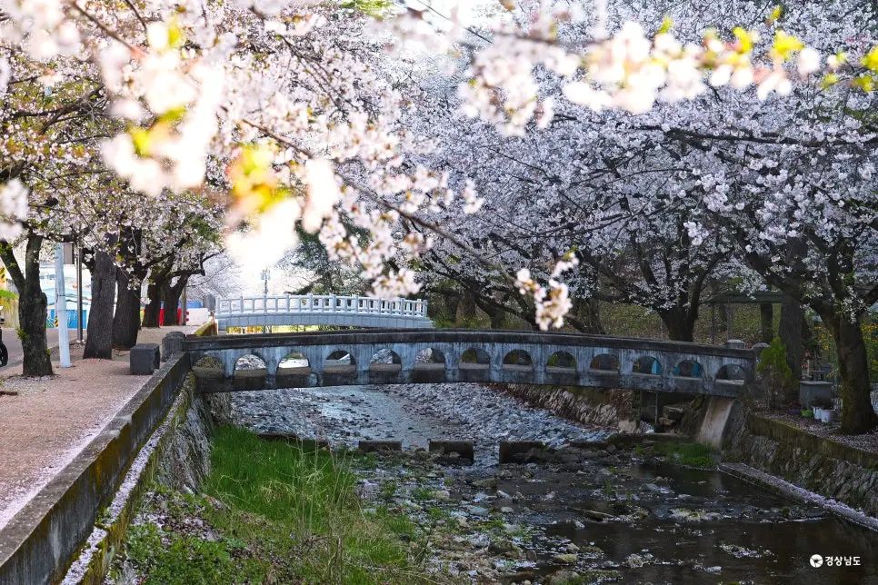 경남 사천 여행