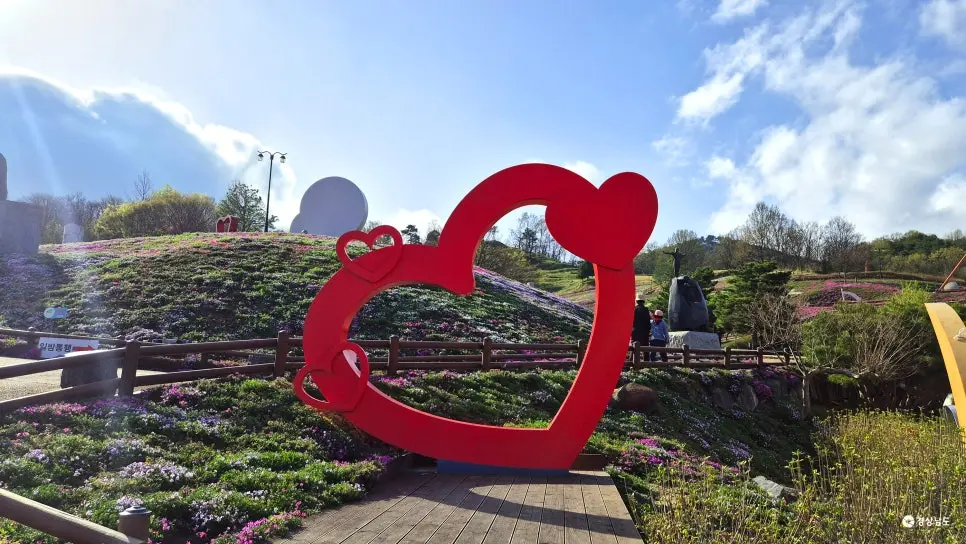 경남 산청 꽃잔디 개화