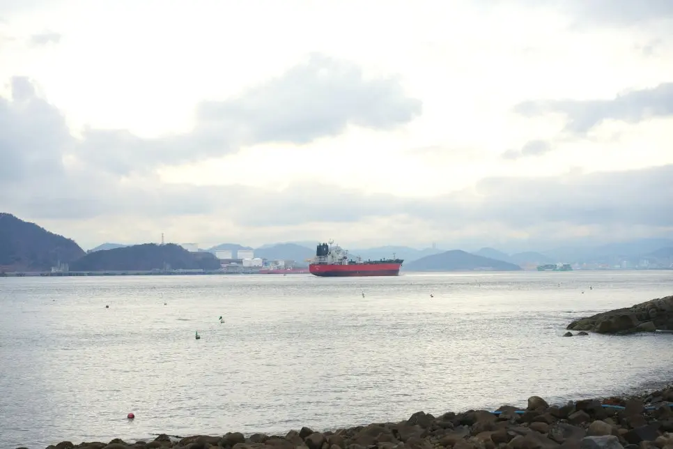 남해 벚꽃 여행