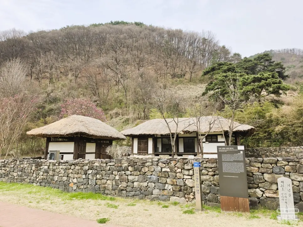 대전 역사 여행