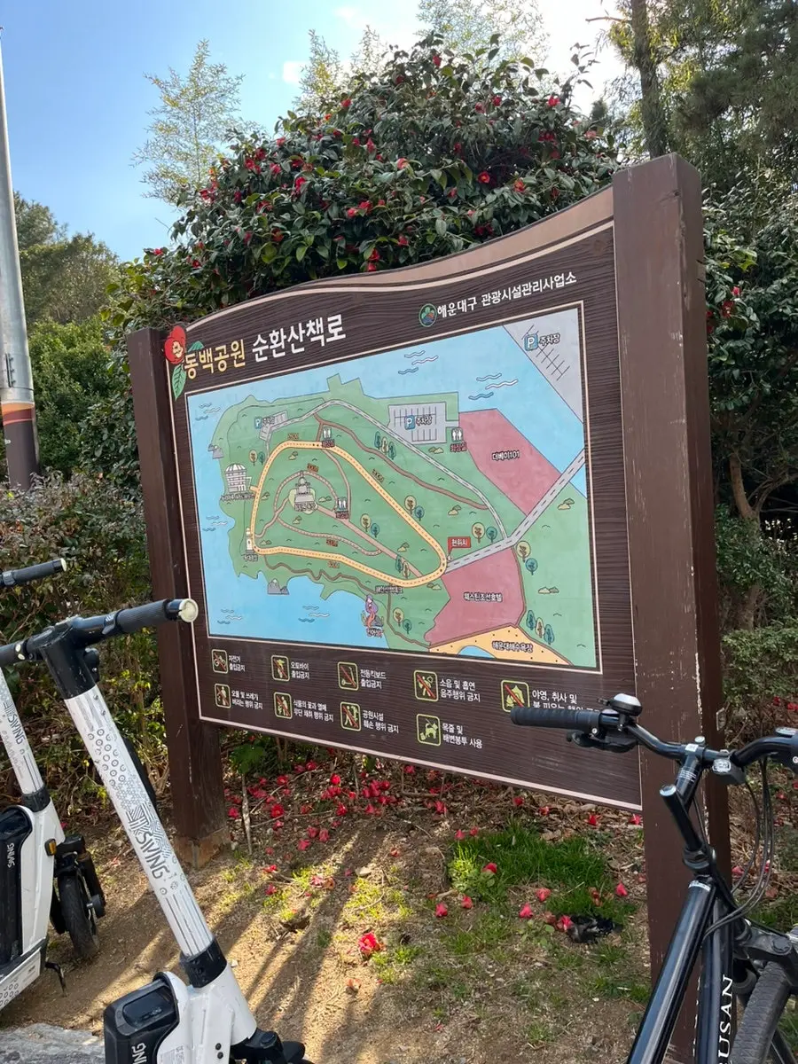 부산 해운대 동백섬 산책