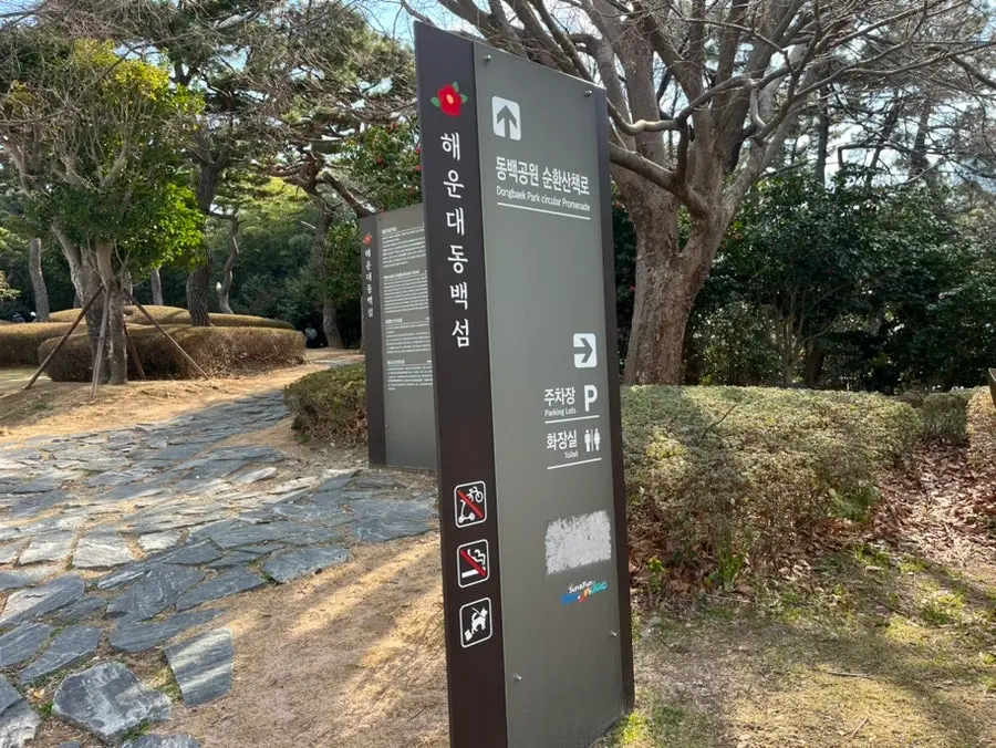 부산 해운대 동백섬 산책