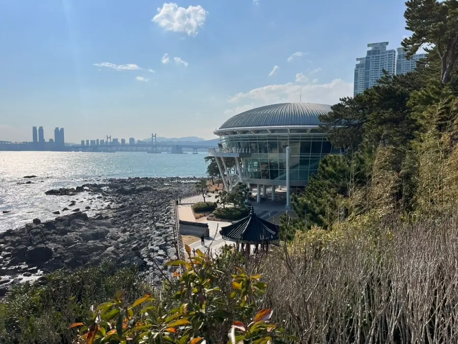 부산 해운대 동백섬 산책