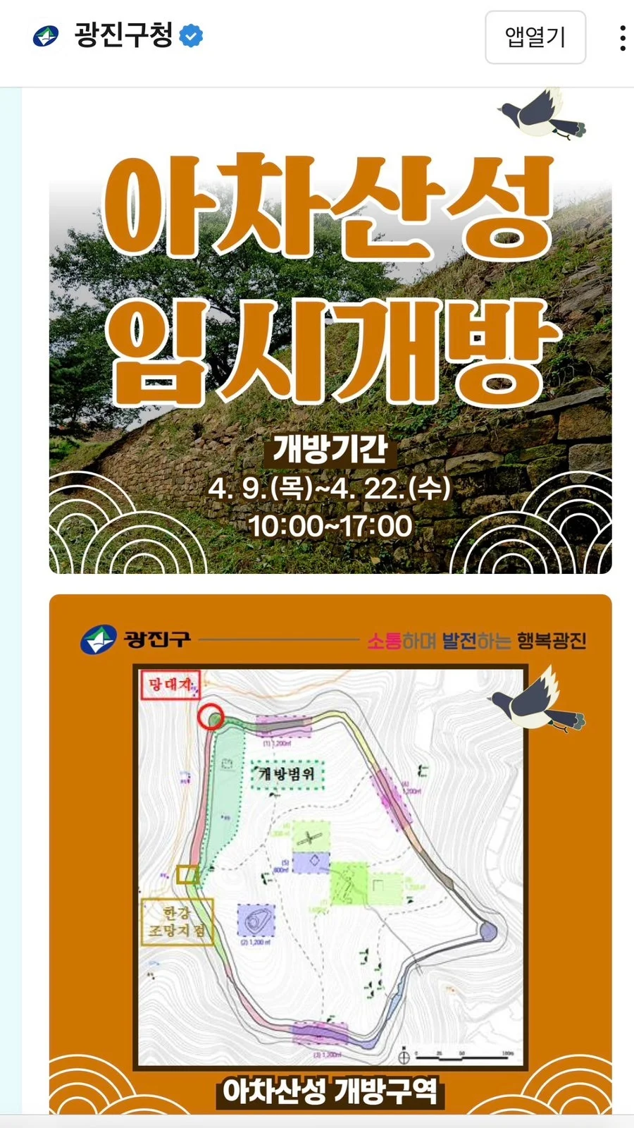 임시 개방인 건 딱 지금뿐이라고?"... 한강뷰 품은 서울 아차산성 벚꽃길 1.5km