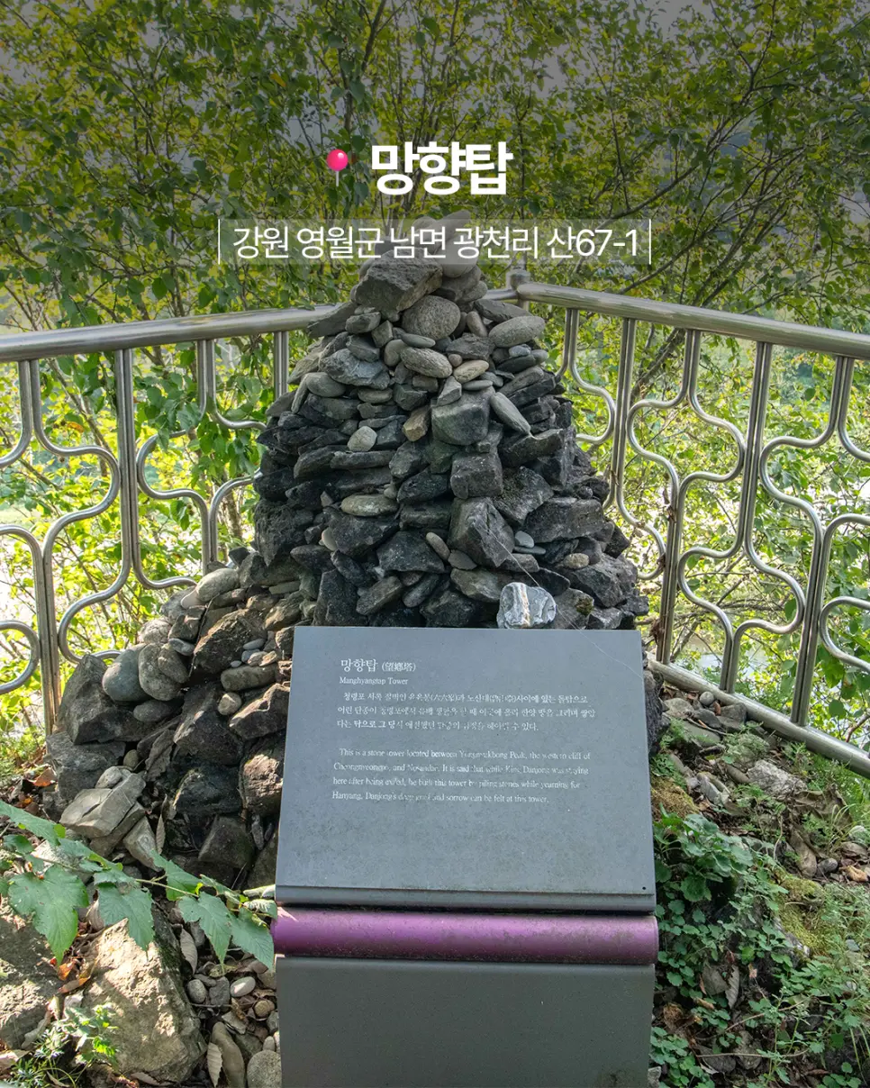 영월 청령포 봄 여행