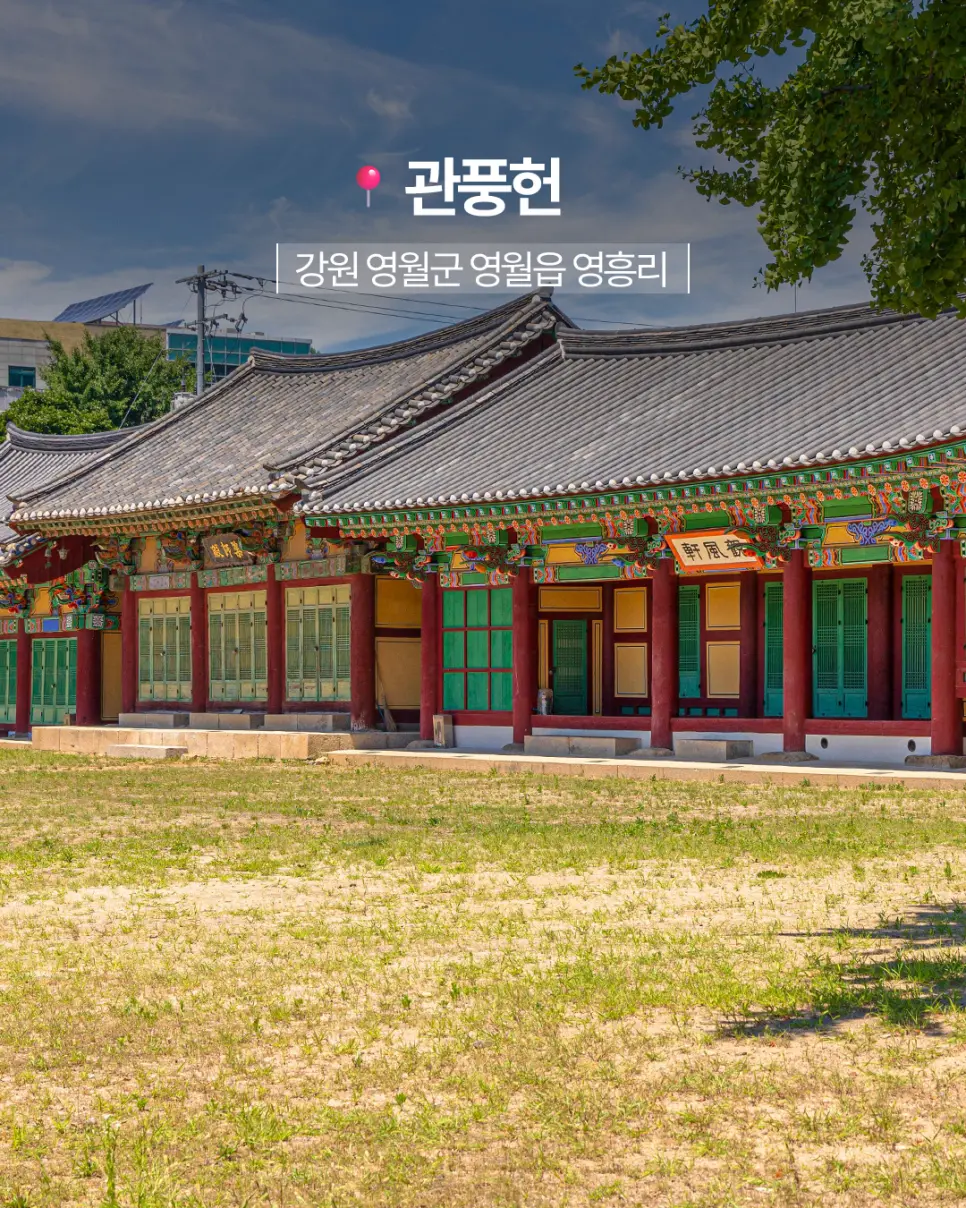 영월 청령포 봄 여행