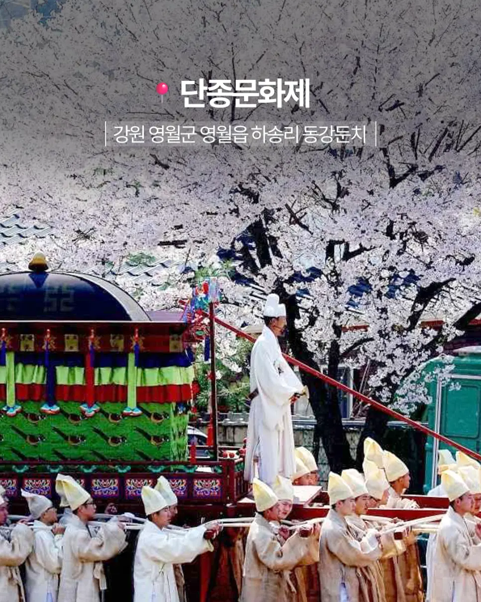 영월 청령포 봄 여행