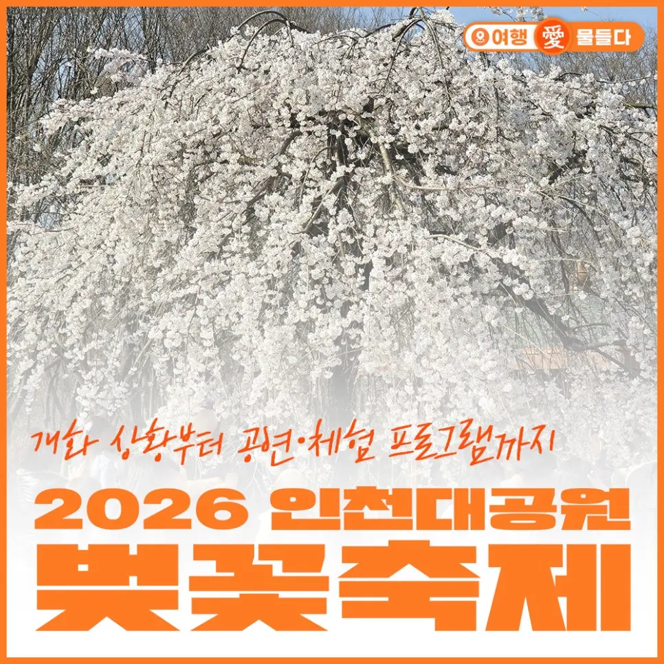 인천 자유공원 벚꽃축제