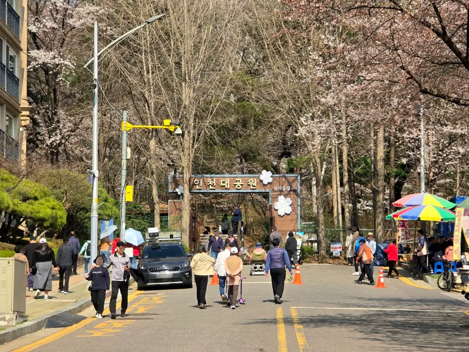 인천 자유공원 벚꽃축제
