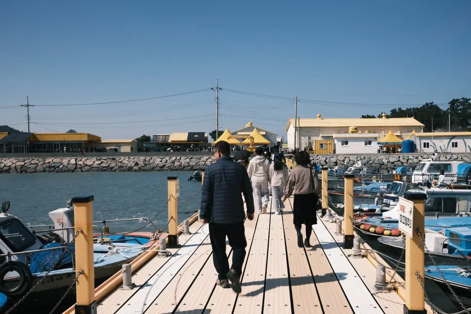 전남 신안 튤립축제