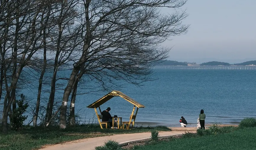 전남 신안 튤립축제