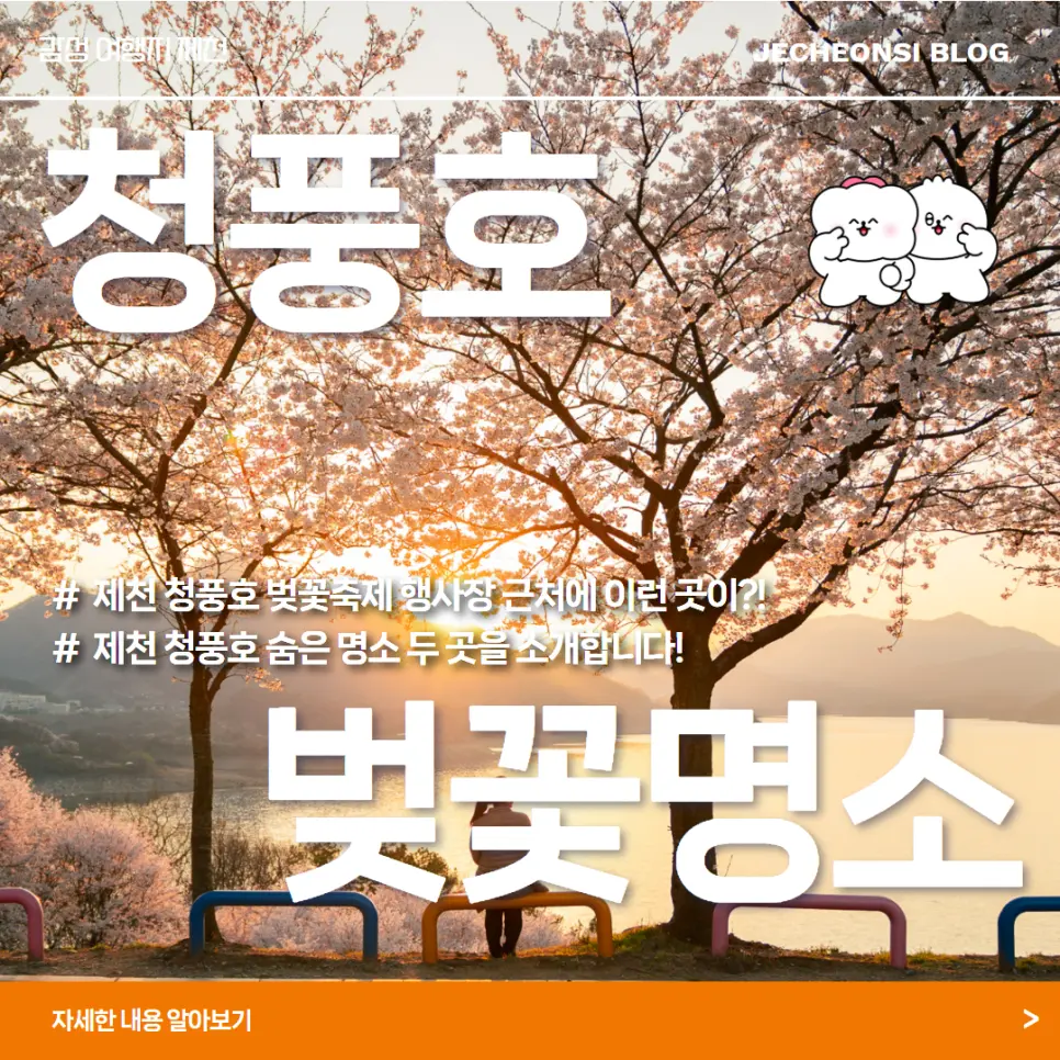 제천 청풍호 벚꽃축제